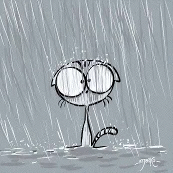rainy-cat.gif