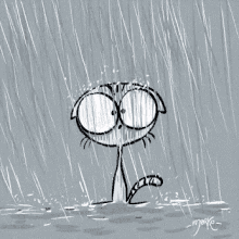 raining cat