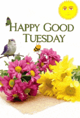 a happy good tuesday card with flowers and a bird on a branch