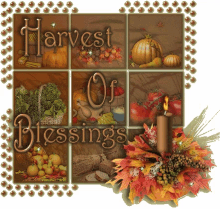 thanksgiving week harvest of blessings
