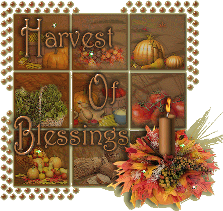 Thanksgiving Week Harvest Of Blessings Sticker - Thanksgiving Week Harvest Of Blessings Stickers