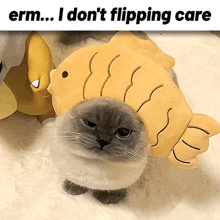 a cat wearing a fish hat with the words " erm ... i don 't flapping care " behind it
