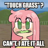 a cartoon girl with pink hair and green eyes says touch grass can 't ate it all