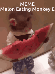 Monkey From Cosmos GIF