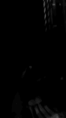 a close up of a person 's hands in the dark .