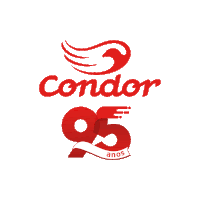 Condor95anos Sticker - Condor95anos Condor Stickers