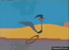 Looney Tunes Roadrunner GIF