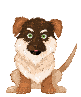 a brown and white dog with green eyes looks at the camera