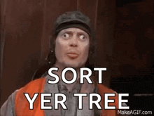 a man wearing a helmet and an orange vest is making a funny face and saying `` sort yer tree '' .