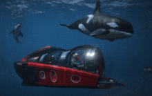 two killer whales are swimming near a red submarine with the number 00 on it
