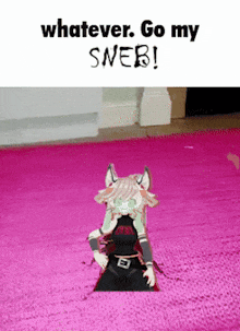 a cartoon character is standing on a pink rug and says " whatever go my sneb ! "