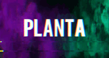 Planta Team GIF - Planta Team GIFs
