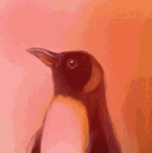 Penguin Triggered GIF - Penguin Triggered Mad GIFs
