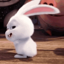 Bunny Cute GIF - Bunny Cute Shaking GIFs
