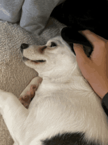 Walle Doggy GIF - Walle Doggy GIFs