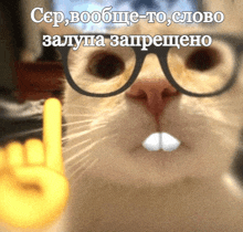 a close up of a cat wearing glasses and giving a horns up sign
