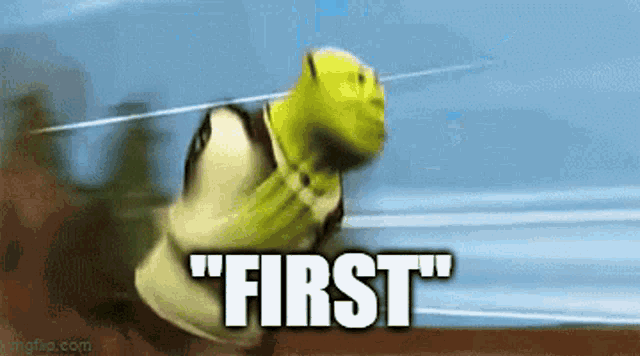 shrek from the movie shrek is running with the words 