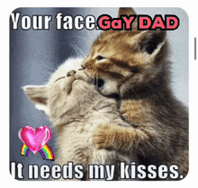 two kittens are kissing each other with the caption " your face gay dad it needs my kisses "