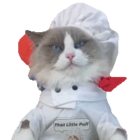 Cat Licking Puff Sticker - Cat Licking Puff Meow Chef Stickers