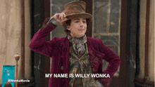 My Name Is Willy Wonka Timothée Chalamet GIF - My Name Is Willy Wonka Willy Wonka Timothée Chalamet GIFs