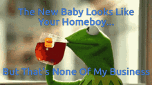 Kermit Kermit None Of My Business GIF