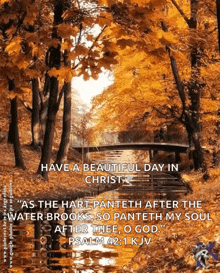 a picture of a bridge in the woods with a quote from psalm 42 : 1 kjv