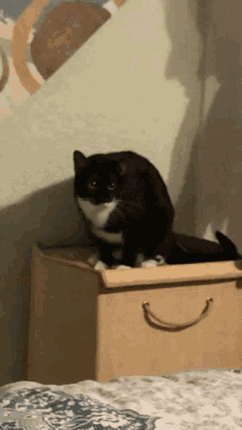Bye Bye Kitty Cat In Hamper GIF