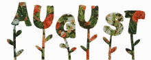 August Flowers GIF - August Flowers Animated Text GIFs