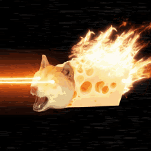 Dogefire Firecheese GIF - Dogefire Firecheese Dogecoin GIFs