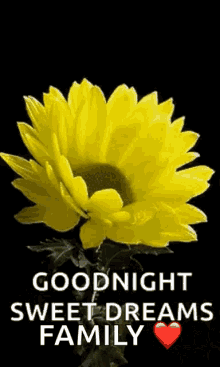 goodnight flowers sweet dreams sparkles butterfly