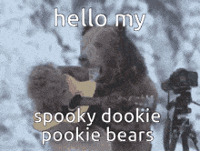 Spooky Dookie Bears Spookie GIF - Spooky Dookie Bears Spookie GIFs