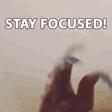 Stay Focused Concentrate GIF - Stay Focused Concentrate Think GIFs