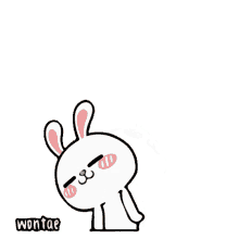 wontae hiper rabbit rabbit happy birthday