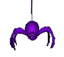spider purple
