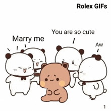 a group of panda bears are standing around each other and one of them is asking to marry him .