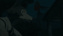 a wolf is standing in front of a building at night