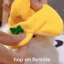 Hop On Fortnite Banana Cat GIF