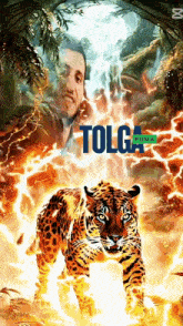 a poster with a leopard and the word tolga puma