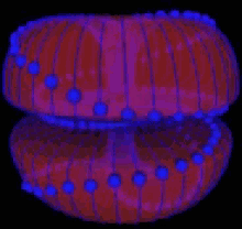 neon amoeba shape