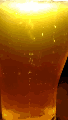 Beer Bubbles GIF - Beer Bubbles GIFs