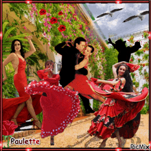 Flamenco GIF