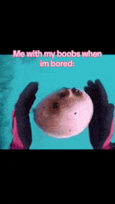 a person is holding a puffer fish in their hands with the words me with my boobs when im bored