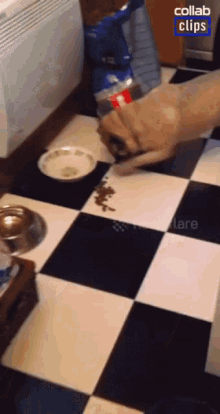 Dog Feeeding Eat With Paws GIF - Dog Feeeding Eat With Paws Shovel GIFs