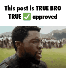 a man with a beard is standing in front of a crowd of people and says this post is true bro true approved