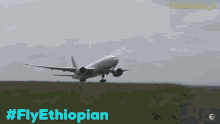 Flyethiopian Ethiopian GIF - Flyethiopian Ethiopian Ethiogifs GIFs