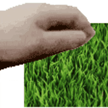 grass touch pet pet