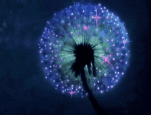 Dandelion Lights GIF - Dandelion Lights Flower GIFs