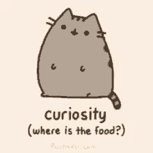 Curiosity Pusheen GIF - Curiosity Pusheen GIFs