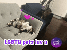 two cats are laying on a couch with the words lgbtq petz luv u