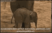 Husbands Day National Womans Day GIF - Husbands Day National Womans Day GIFs
